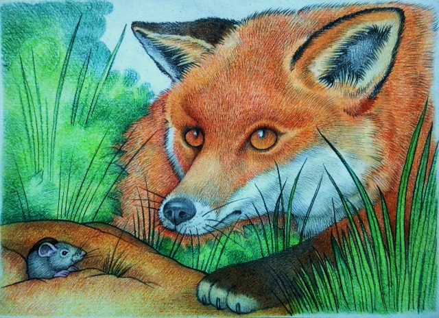 Не поймаешь!