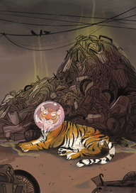 Where do animals live?