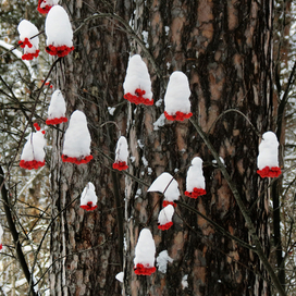 Огонь рябины красной ...