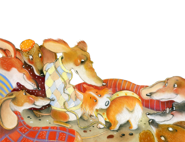 Корги ищет друга 2.