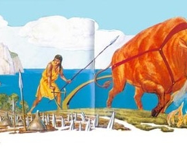 Поле засеянное