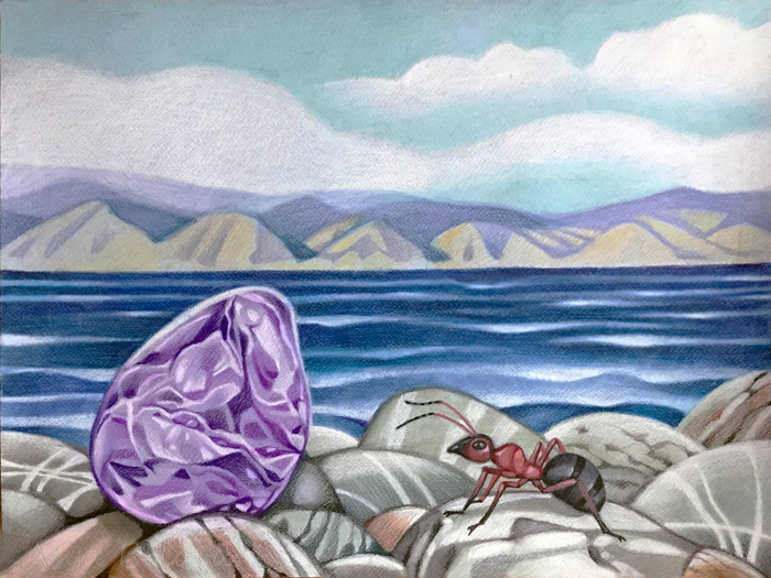 Муравей и камень