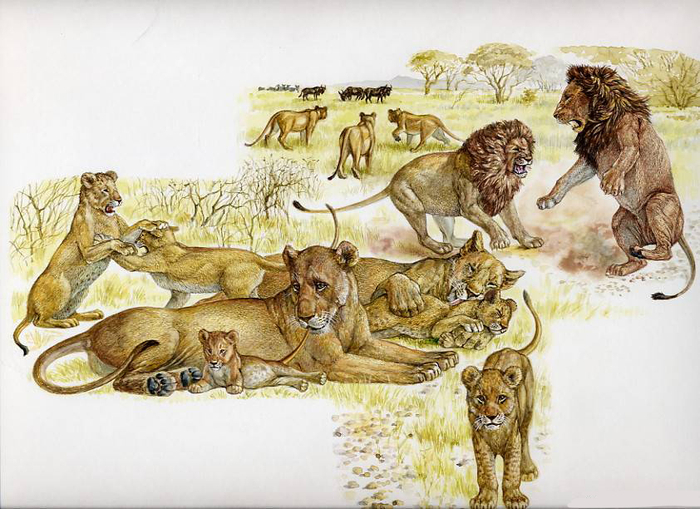 энциклопедия