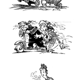 автострасти