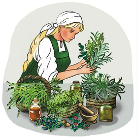 иллюстрация к книге