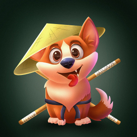 3 варианта корги