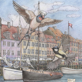 Синичка - путешественница 