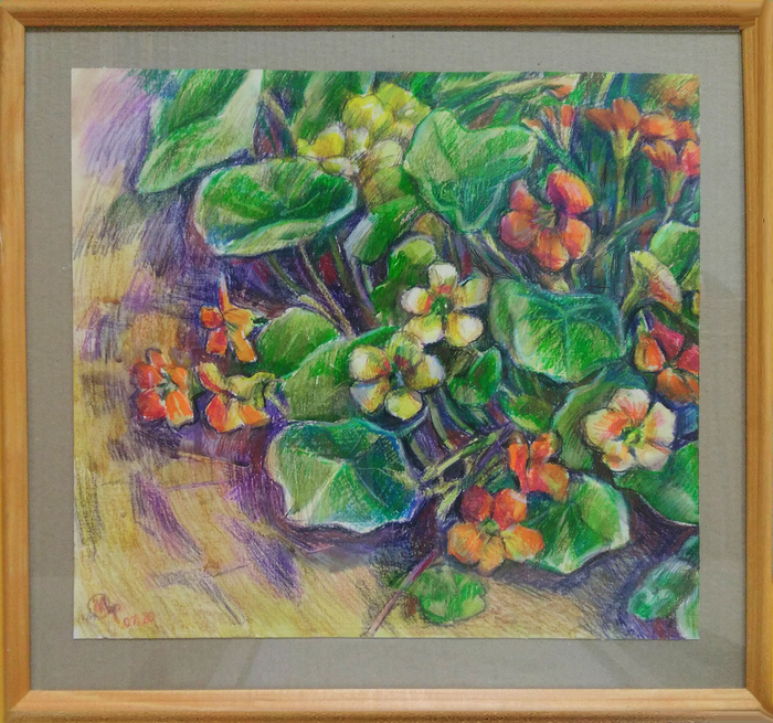 Этюд с настурцией.