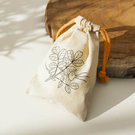 Зарисовка шиповника, мокап