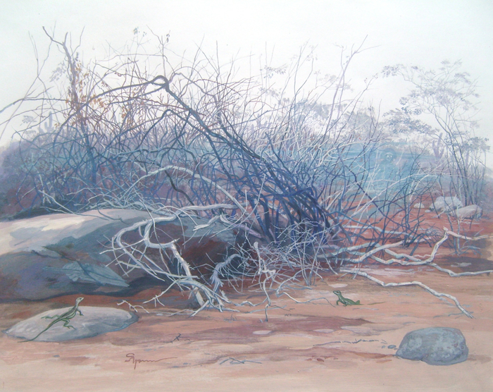 "Стражники каатинги" или "Лампиан жив!"