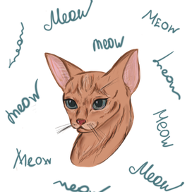 портрет кошки