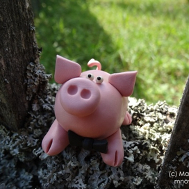 Любопытный поросенок