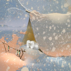 Мишка на Севере