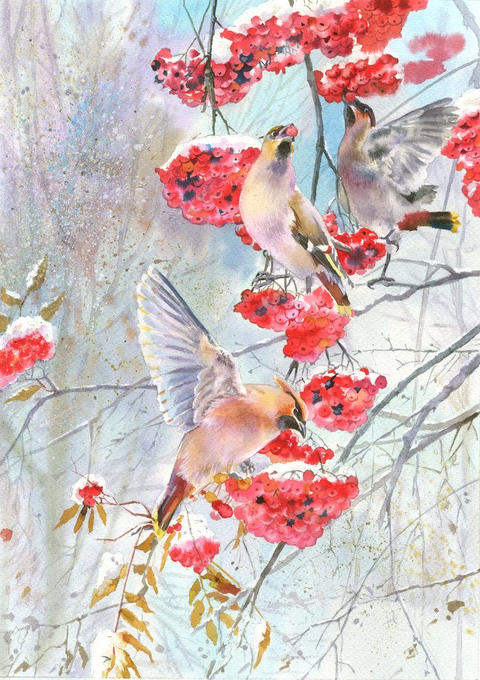 Свиристели