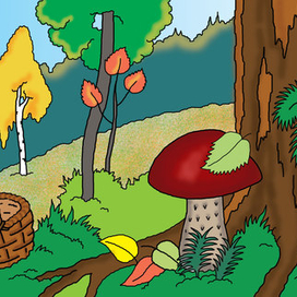 что растёт в лесу?