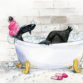 СПА. Серия «Любимые афганы».