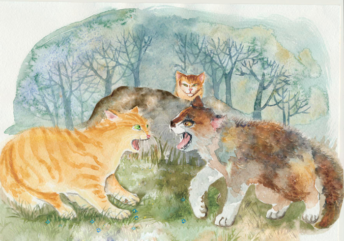 Коты ругаются.