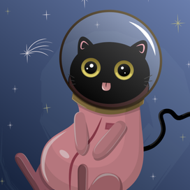 Space Cat