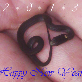 Всех, всех, с этим самым!