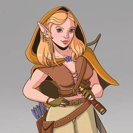 ДнД Эльф Плут