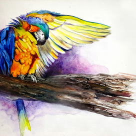 картина "Попугай"