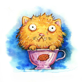 Кот Печенька