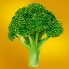 Брокколи