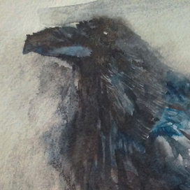 эскиз ворона