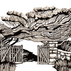 Падающее дерево. Старое кладбище.