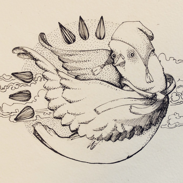 Голубь в полете