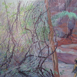 Долгий путь домой