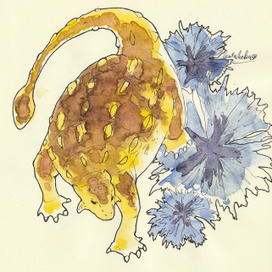 Таларур, который хотел быть легким, как васильки