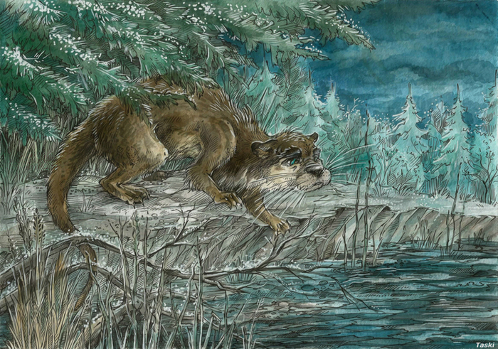 Мудрость Выдры