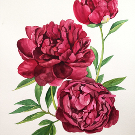 Рождение пиона