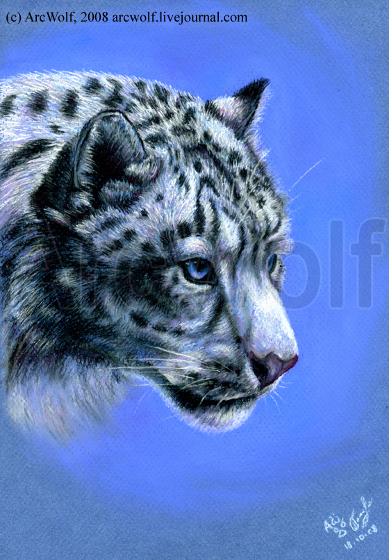 Снежный барс