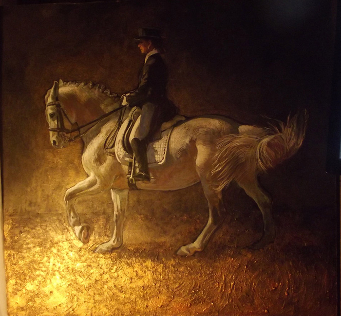 Выездка,всадница на коне.