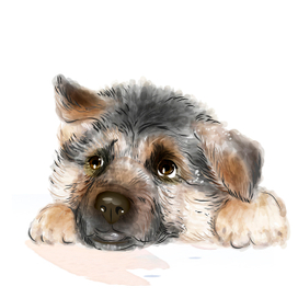 Задумчивый щенок