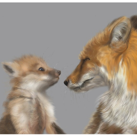 Лисья любовь