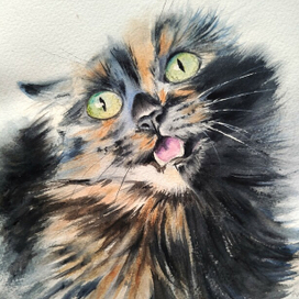 Время драться!!!