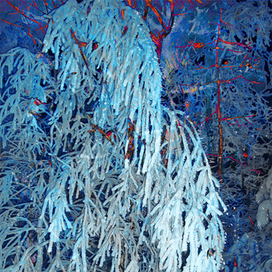 Сказы Бажова  /1 /