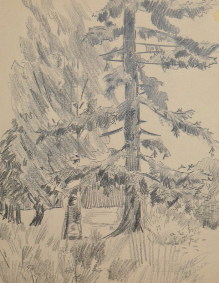 Набросок дерева.