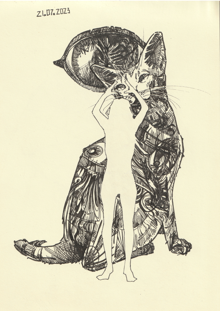 Проницательность