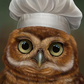 Сова повар