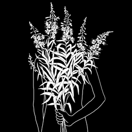 скрытая красота