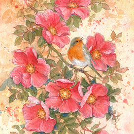 Красный шиповник