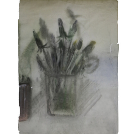 Одуванчики