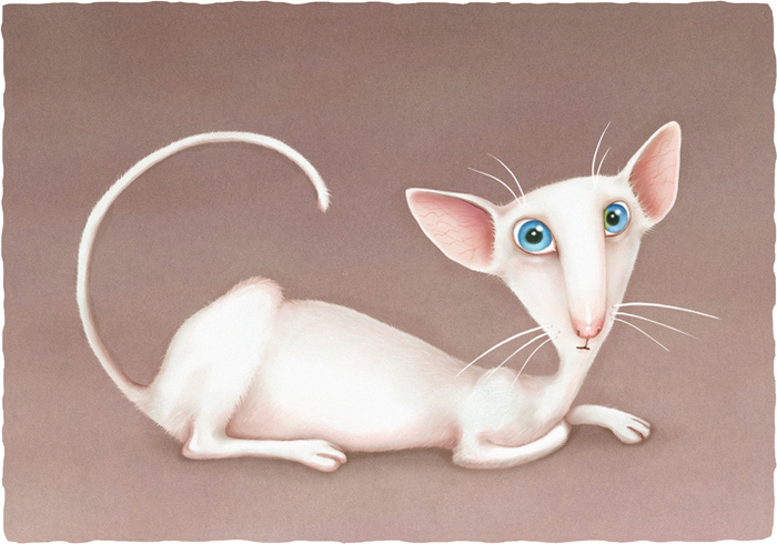 Кошка Долли