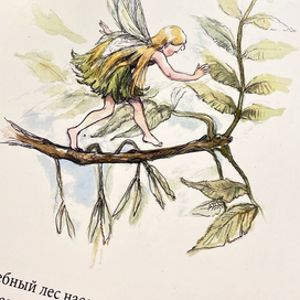 Вступление