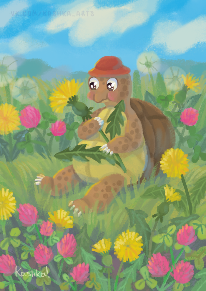 Черепашка Чапа