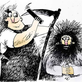 случай в парикмахерской